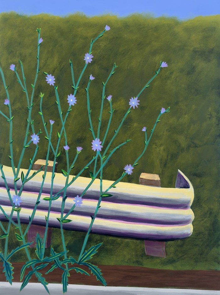 Roadside Chicory 2 by Michael Pfleghaar
