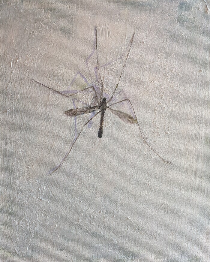 Cranefly von Rosemary Burn