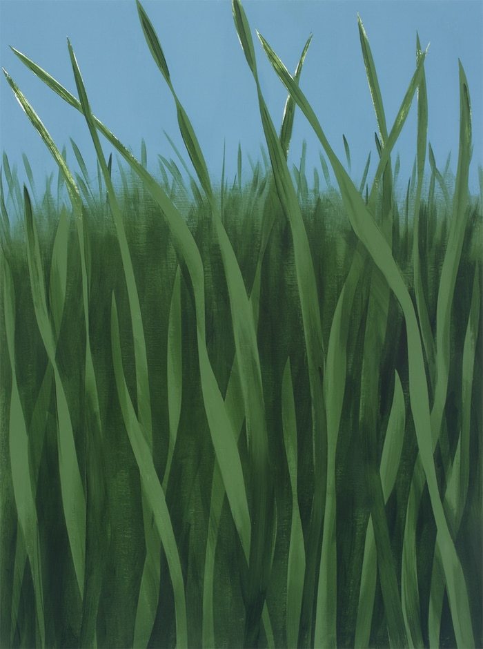 Tall Grasses von Michael Pfleghaar