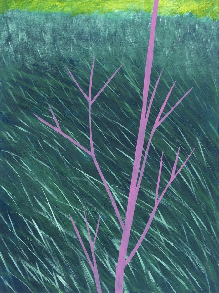 Violet Branches von Michael Pfleghaar