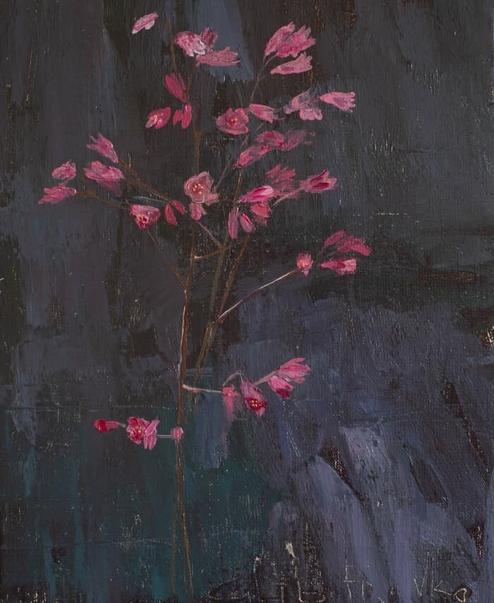 Heuchera par Glib Franko