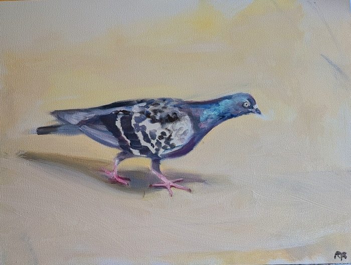 Paddington pigeon par Rosemary Burn