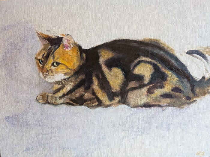 Bengal cat by Rosemary Burn