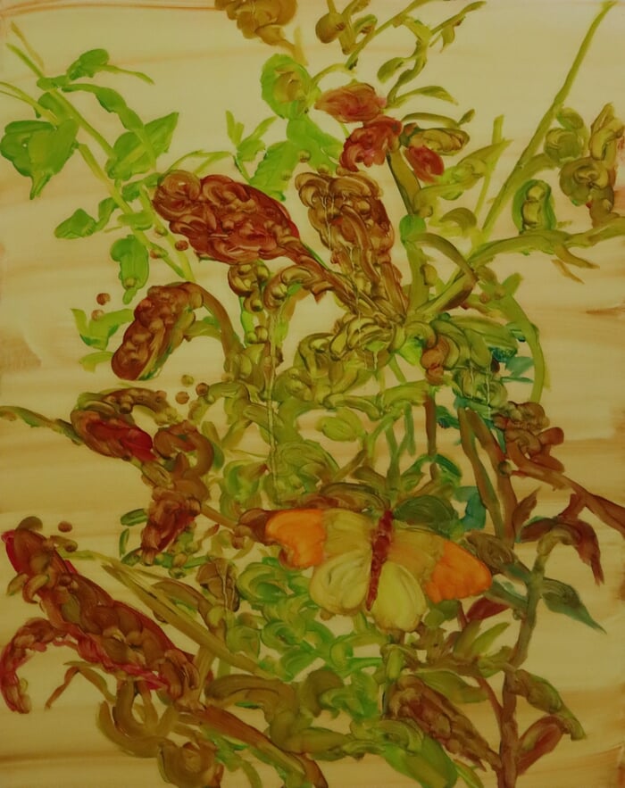 Buddleia with orange-tip butterfly par Barbara Howey