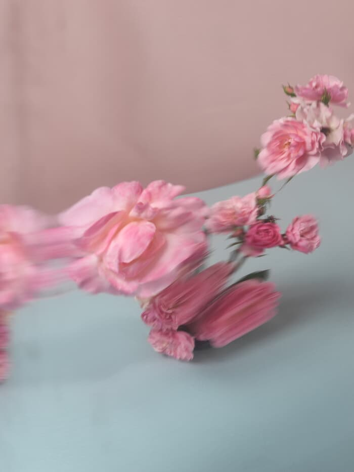ENGLISH ROSES XXI by Andrea Zvadova