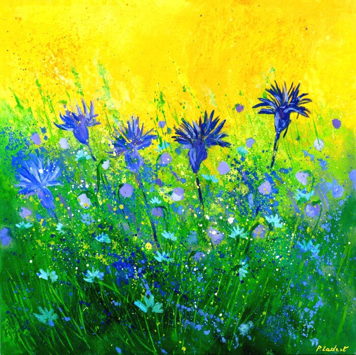 Blue symphony von Pol Ledent