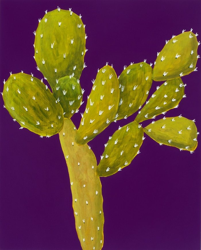 Prickly Pear on Purple by Michael Pfleghaar