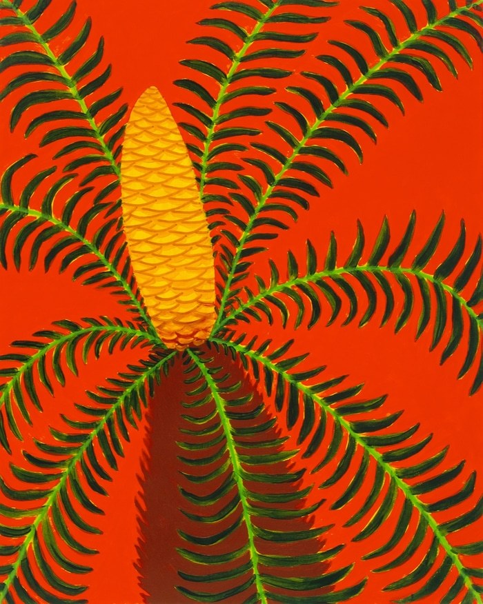 Sago Palm Flower von Michael Pfleghaar