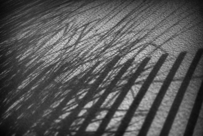 Dune by Geoffrey Ansel Agrons