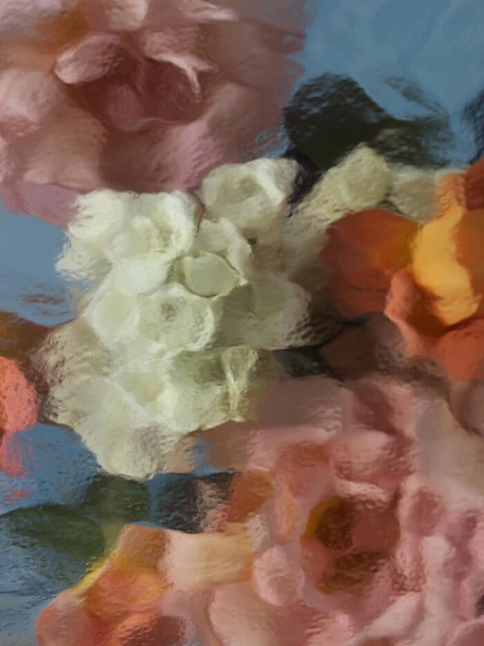 ROSES ON BLUE IV by Andrea Zvadova