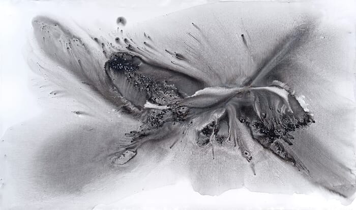 Nature 579 von Muriel Napoli