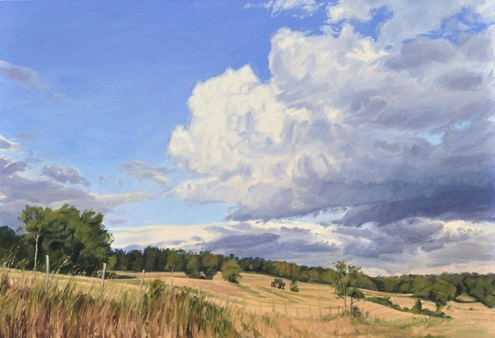 Summer Storm in the Velay von Anne Baudequin