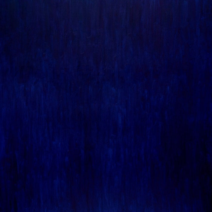 Velvet Night by Nataliia Sydorova