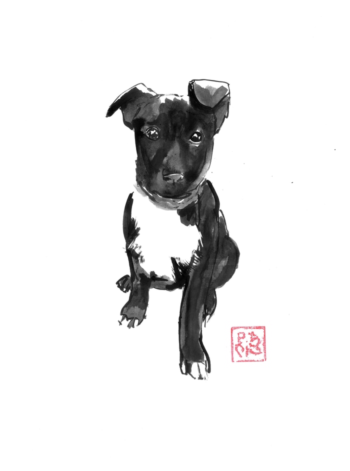 black doggie by Péchane