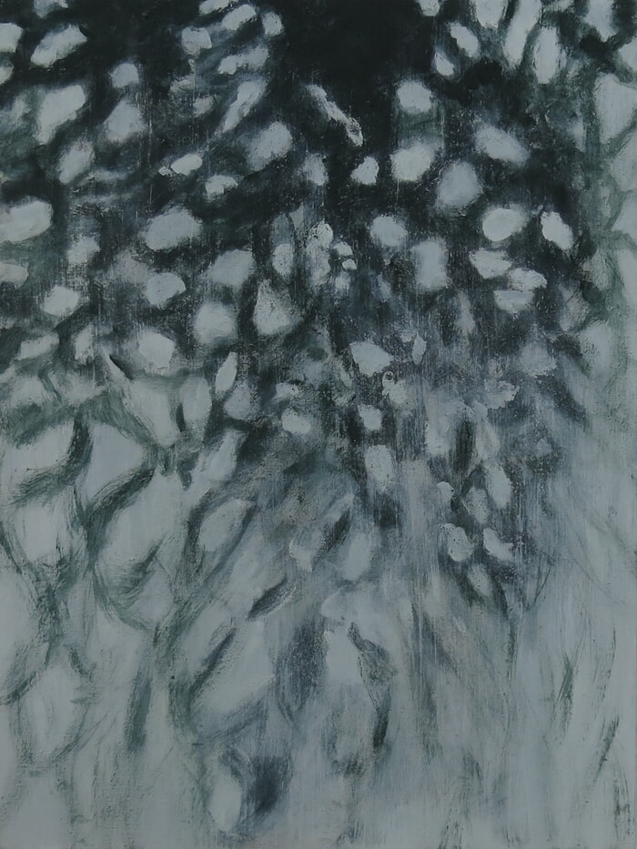 Ombres 8 by Catherine Goursolas