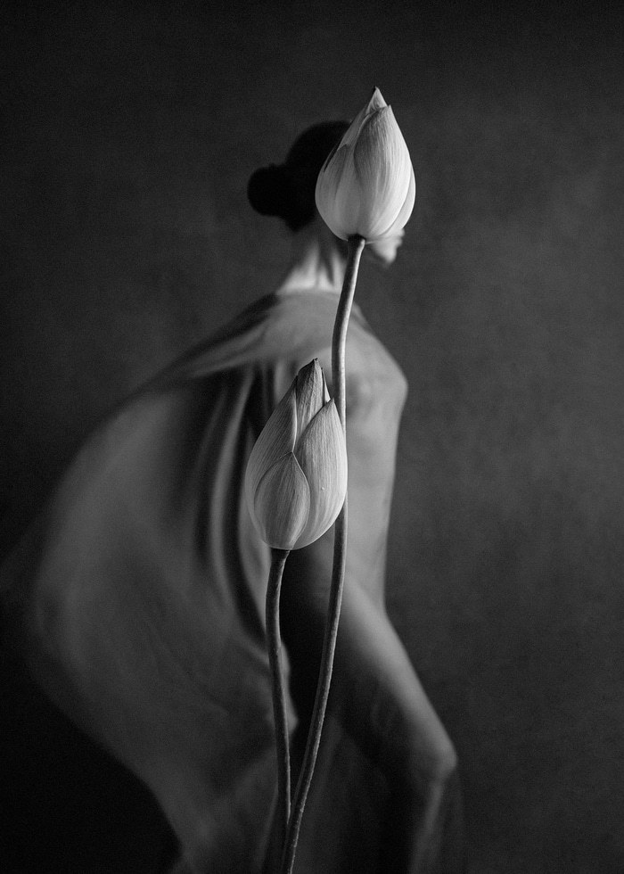 Blossom and Return - I by Xidong Luo