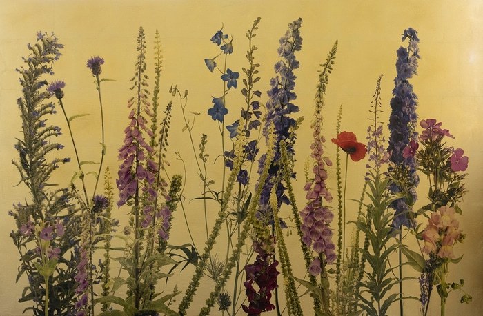 Fera Flores by Robert Pereira Hind