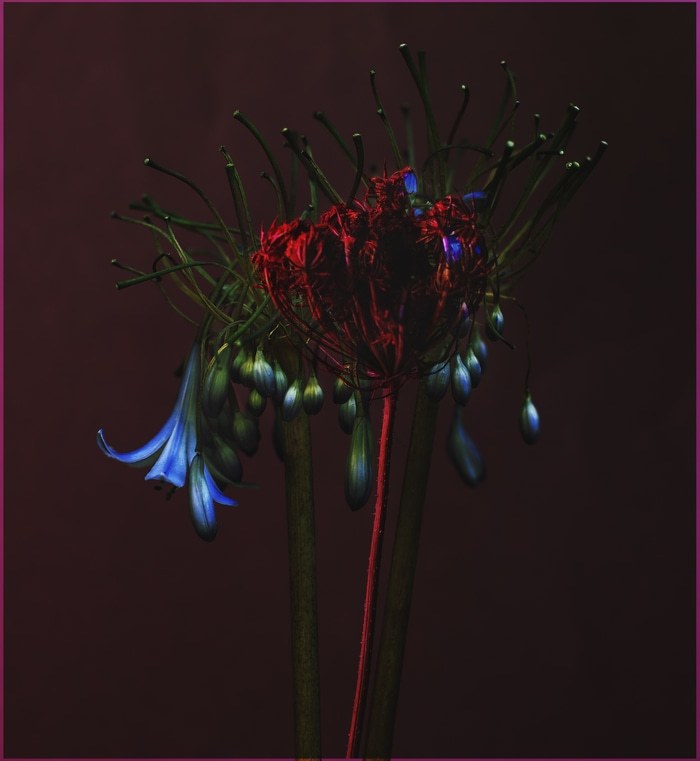 Weirdo-02 von Emilie Moysson