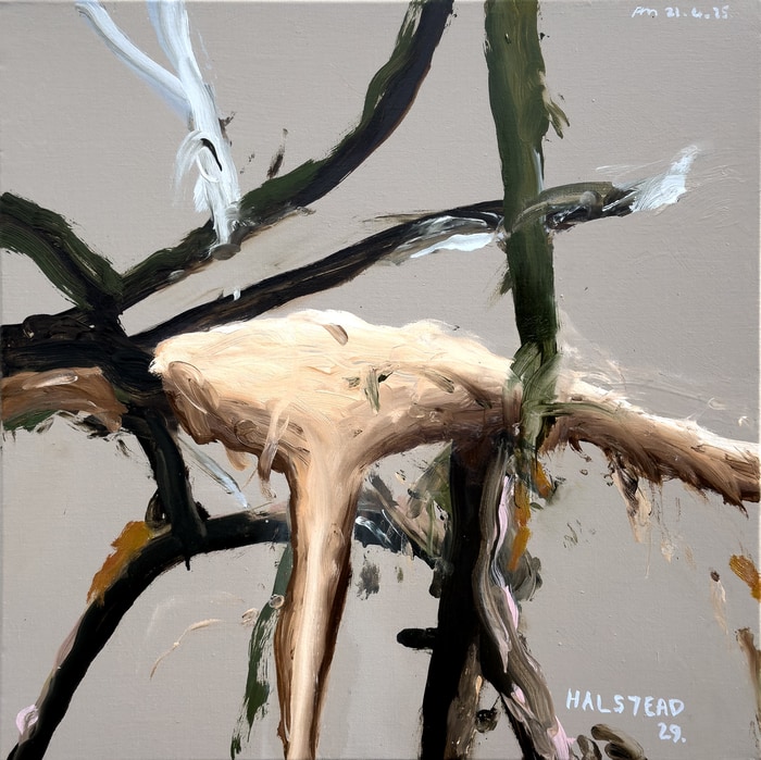 Halstead 29 von Philip Maltman
