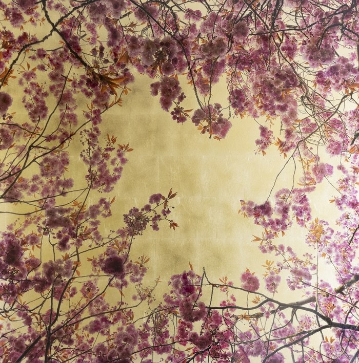Arboris Prunus IV par Robert Pereira Hind