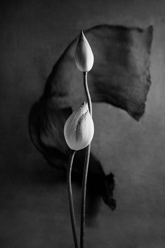 Between Motion and Stillness - VI by Xidong Luo