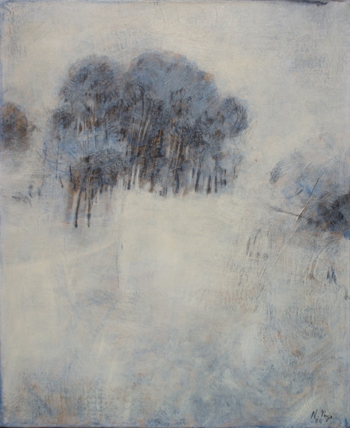 Première neige par Norbert Pagé