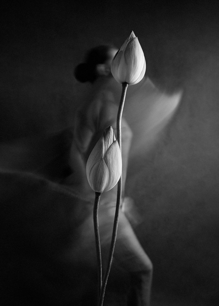 Blossom and Return - II by Xidong Luo
