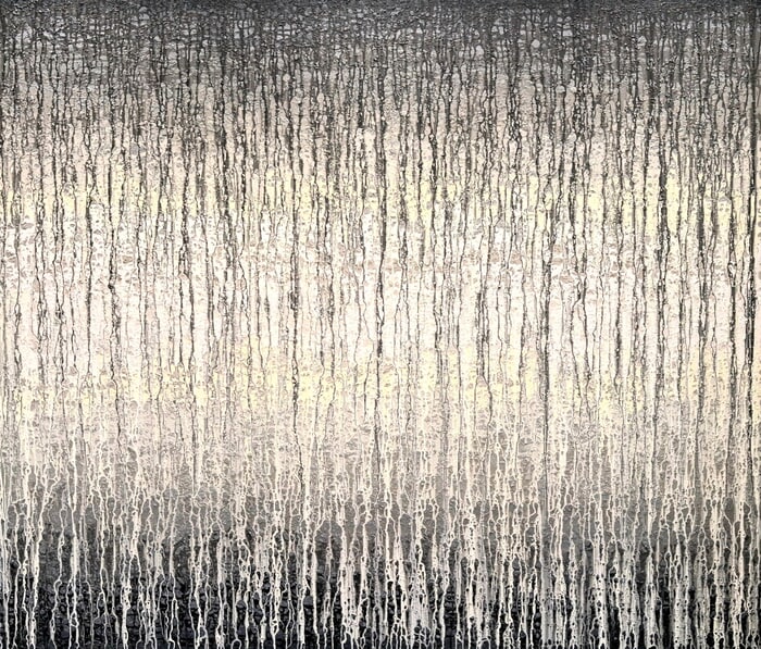 Soft Grey Veils over Sunlight by Heidi Thompson