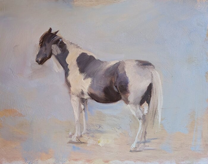 Piebald horse par Rosemary Burn