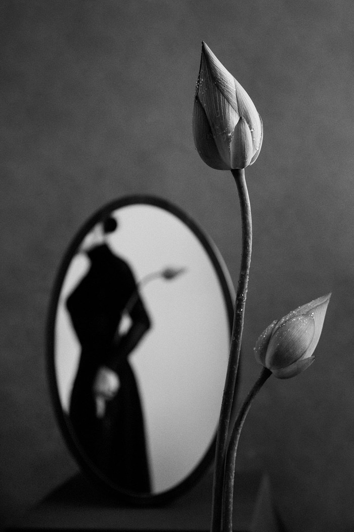 Growing Illusions - I par Xidong Luo