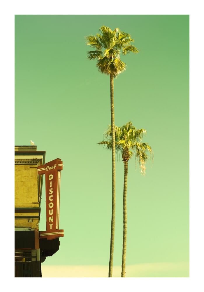 Cool Discount by Rita Minichiello