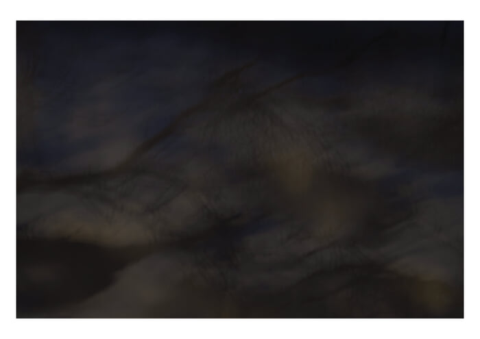 Polar Night I von Daniel Dunt