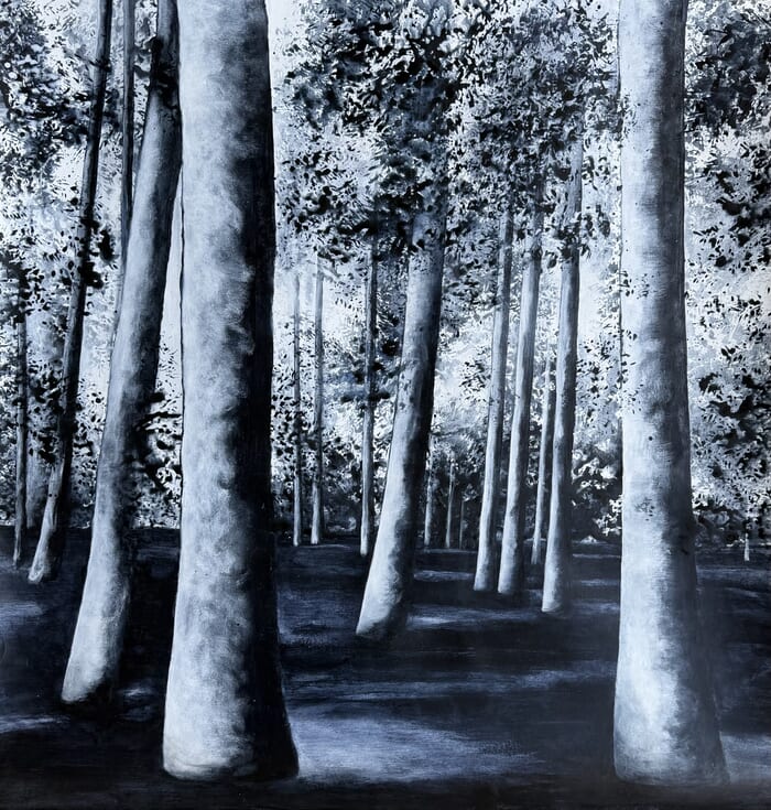 The disappearing Tree von Nadege Druzkowski