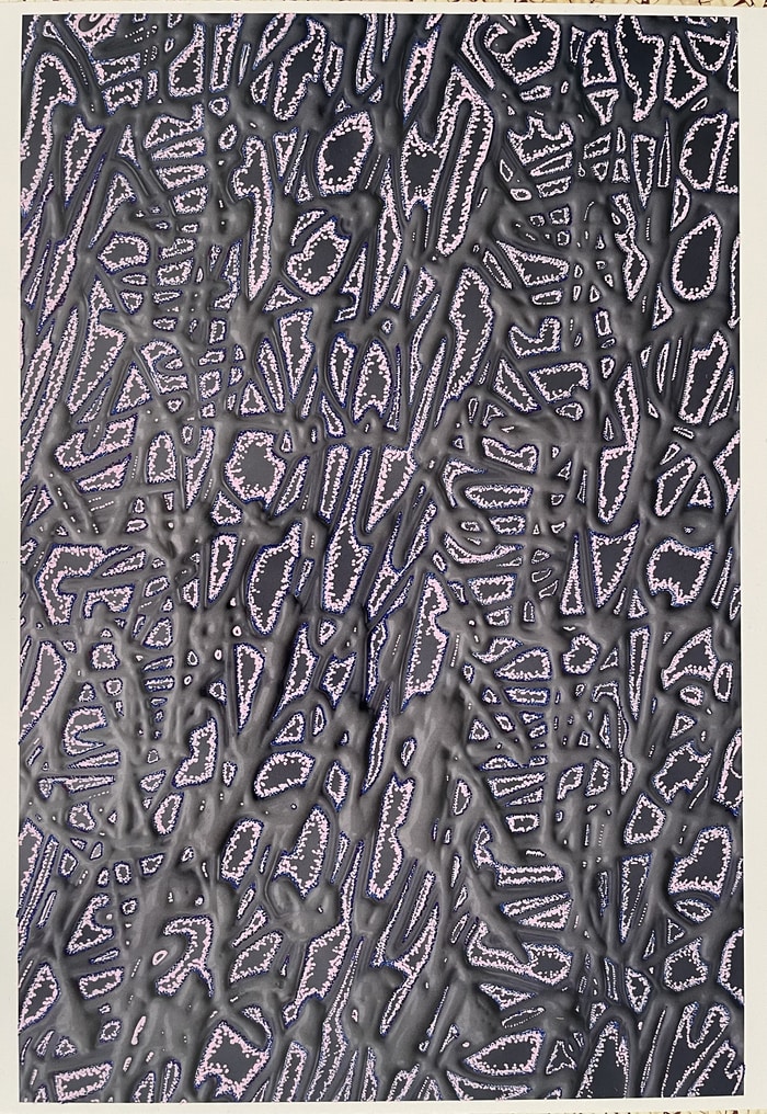 Palette 4 par Tannaz Oroumchi