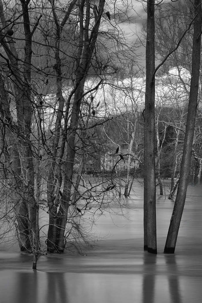 Flood Narrative Redux (La Belle Indifférence) by Geoffrey Ansel Agrons