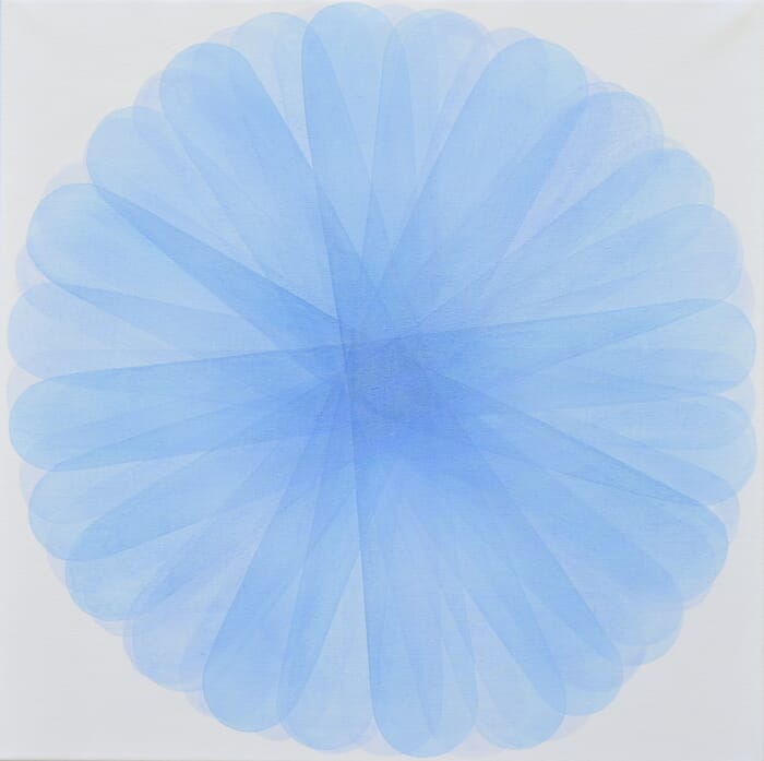 Chicory von Jitka Anlaufova