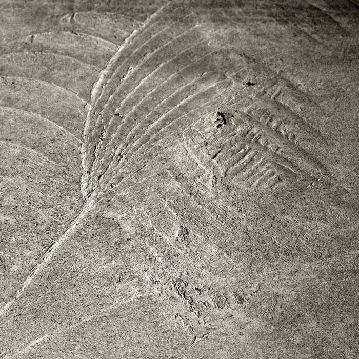 01 Concrete Wave: alchemy / grounding and elevation by Bruno Houdayer