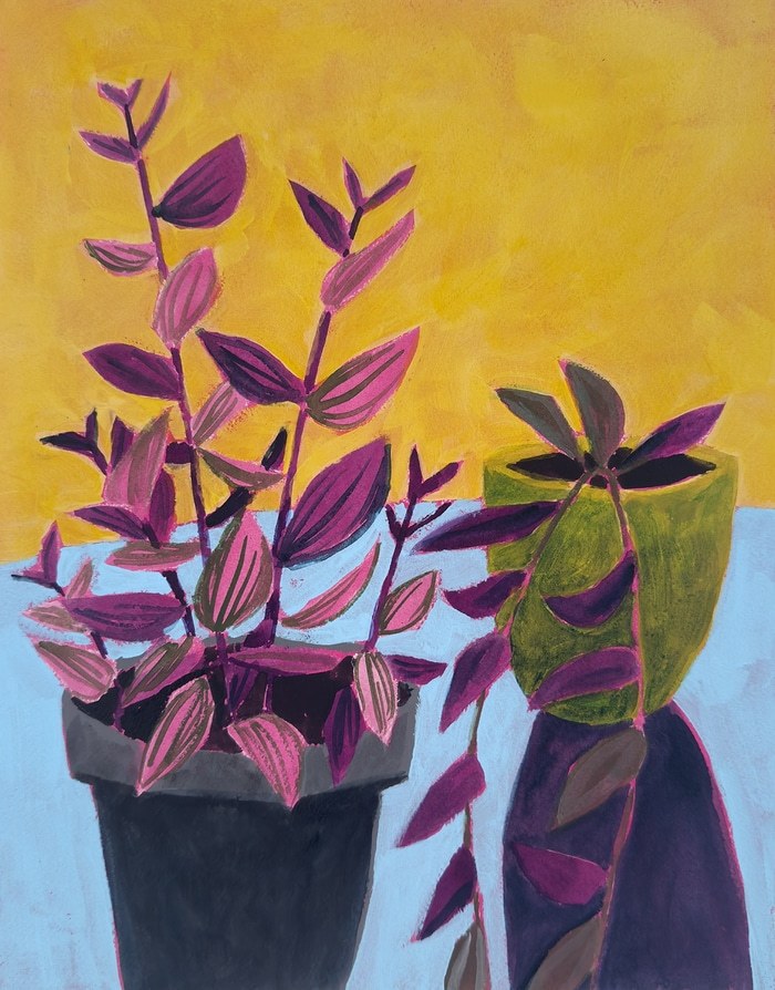 Tradescantia von Michael Pfleghaar