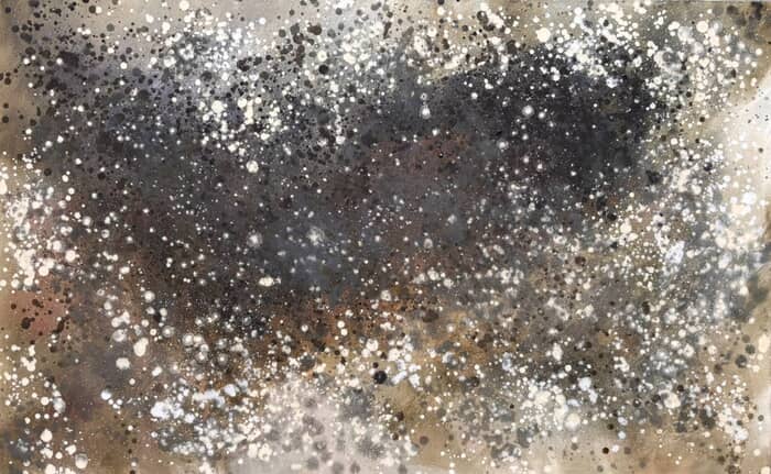 Lichen von Julia Swaby