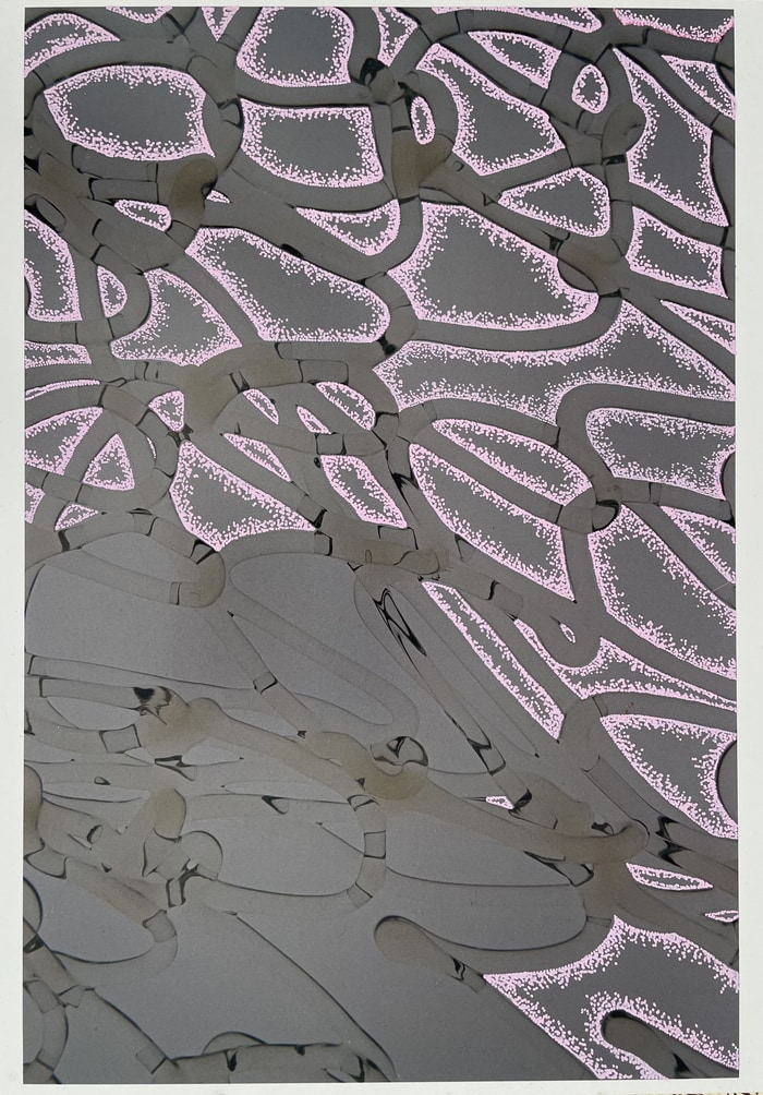 Palette 8 par Tannaz Oroumchi