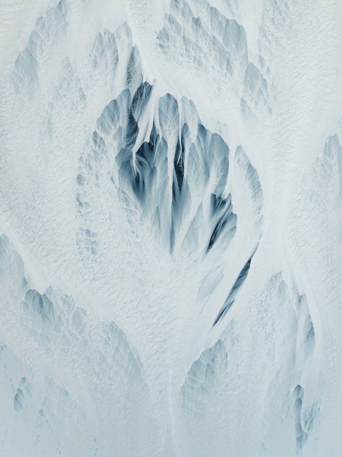 Veins No3 von Merel Klomp and Elmar Janse