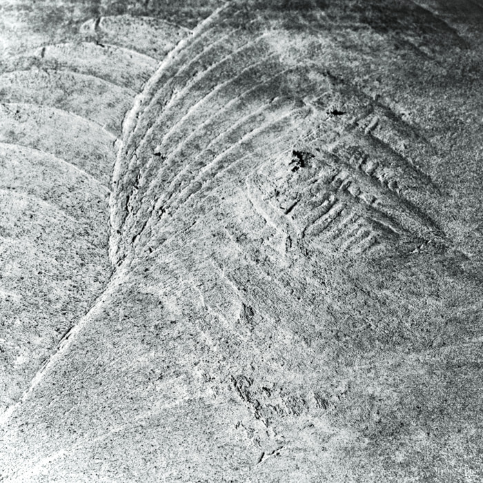 07BW Concrete Wave: alchemy / grounding and elevation by Bruno Houdayer