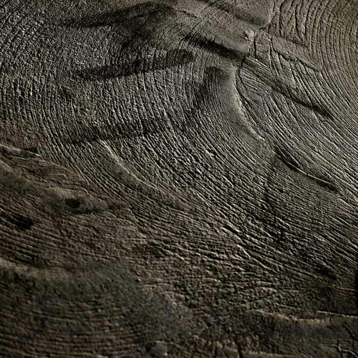06 Concrete Wave: alchemy / grounding and elevation by Bruno Houdayer