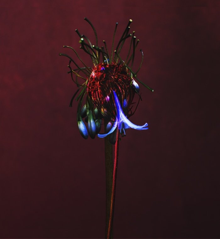 Weirdo-14 par Emilie Moysson