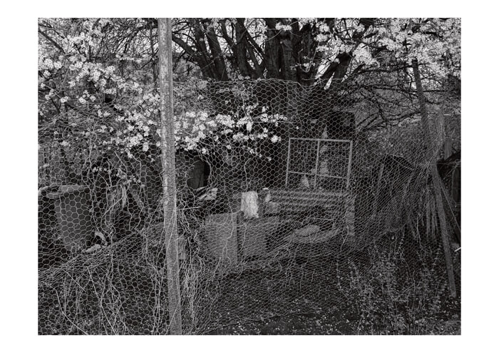 Allotment IX von Daniel Dunt