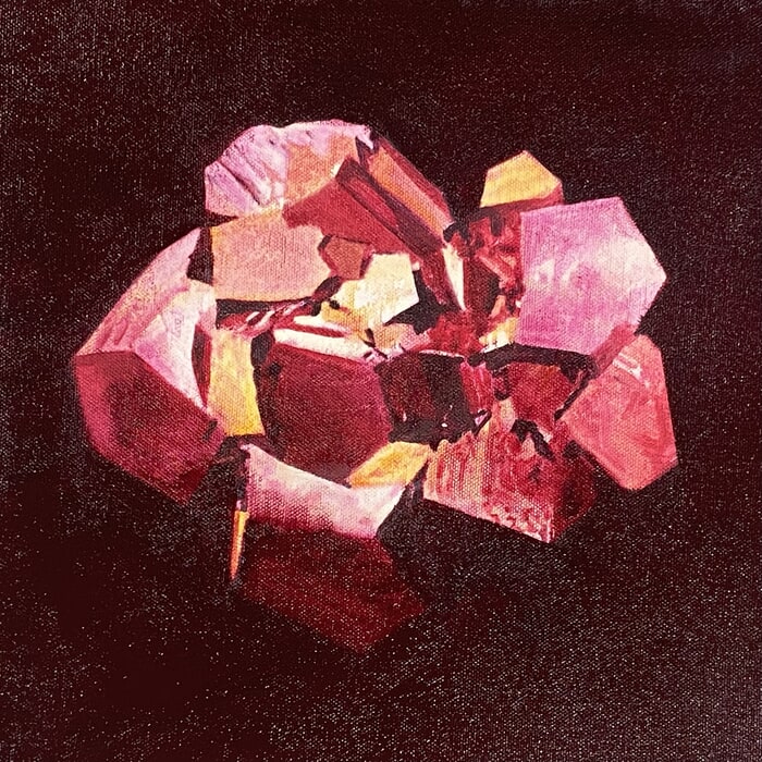 Fall from the sky par Paula MacArthur