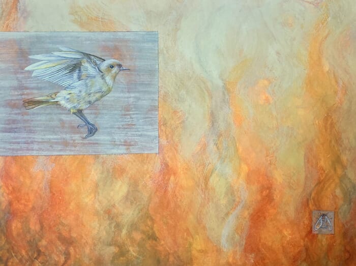 Eastern Black Redstart : Playing with Fire von Sarah Goldbart
