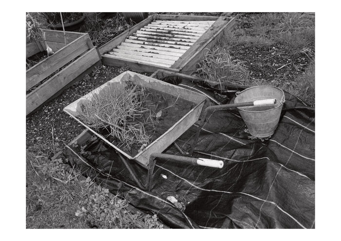 Allotment II von Daniel Dunt