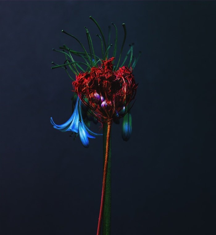 Weirdo-15 par Emilie Moysson