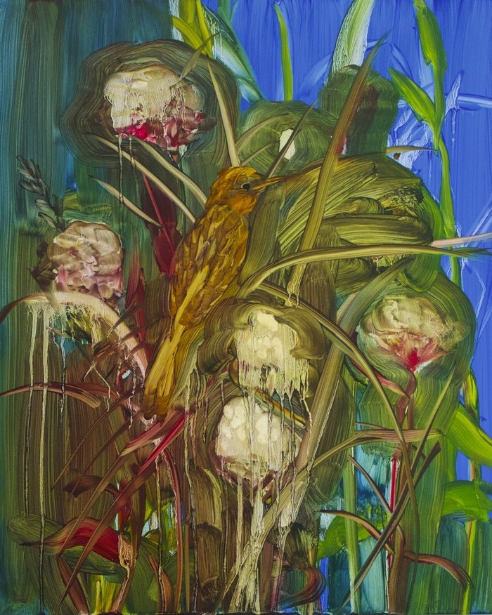 Marsh-late morning von Barbara Howey